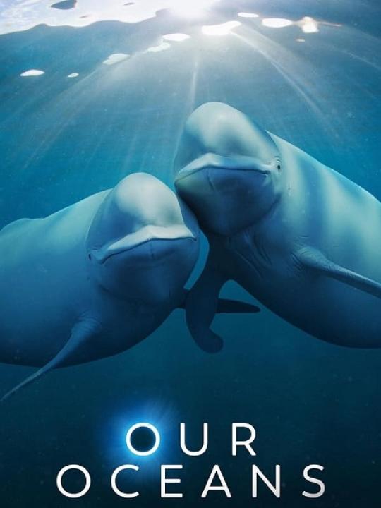 مسلسل Our Oceans الحلقة 2 مترجمة