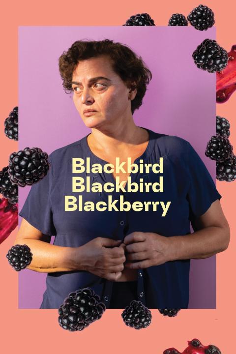 مشاهدة فيلم Blackbird Blackbird Blackberry 2023 مترجم